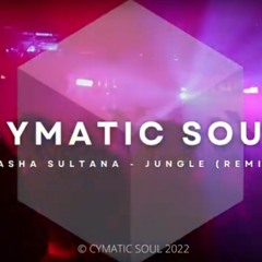 CYMATIC SOUL - TASHA SULTANA (JUNGLE REMIX)