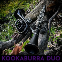 Pigeons Through The Glass