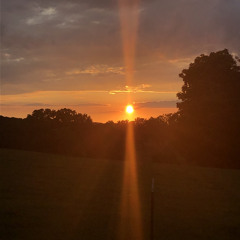 “The one” Ambient piano