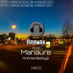 The Acid Mind - Manaure