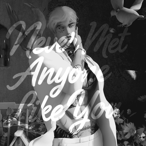 Never Met Anyone Like You