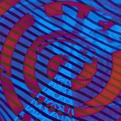 Noodles mit Cejowan Sauce - Cejowan