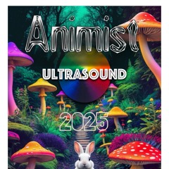 ANIMIST-VINYL SET ULTRASOUND SUMMERPARTY(2025 )wav