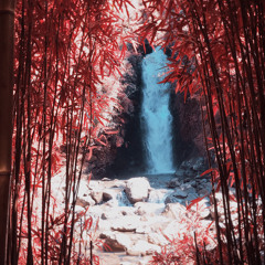 Zara Zara - Jalraj (SLOWED + REVERBED)