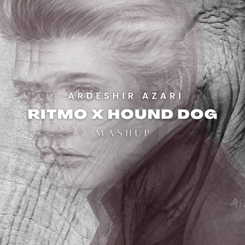 Mijangos, Aaron Sevilla - Ritmo x Hound Dog [Elvis Presley] (Ardeshir Azari Mashup)