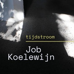 Job Koelewijn (kunstenaar)