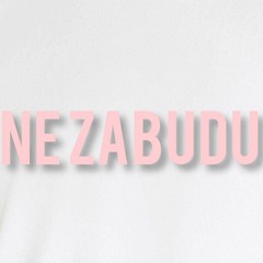 Ne zabudu - (feat. Waseap, Yung Soul) (mix.by Waseap)