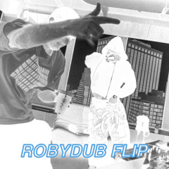 Fred again x Skepta x PlaqueBoyMax - Victory Lap (ROBYDUB Flip)