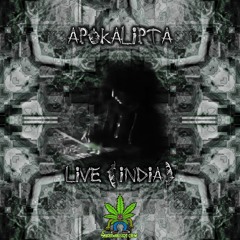 Apokalipta Artist 420