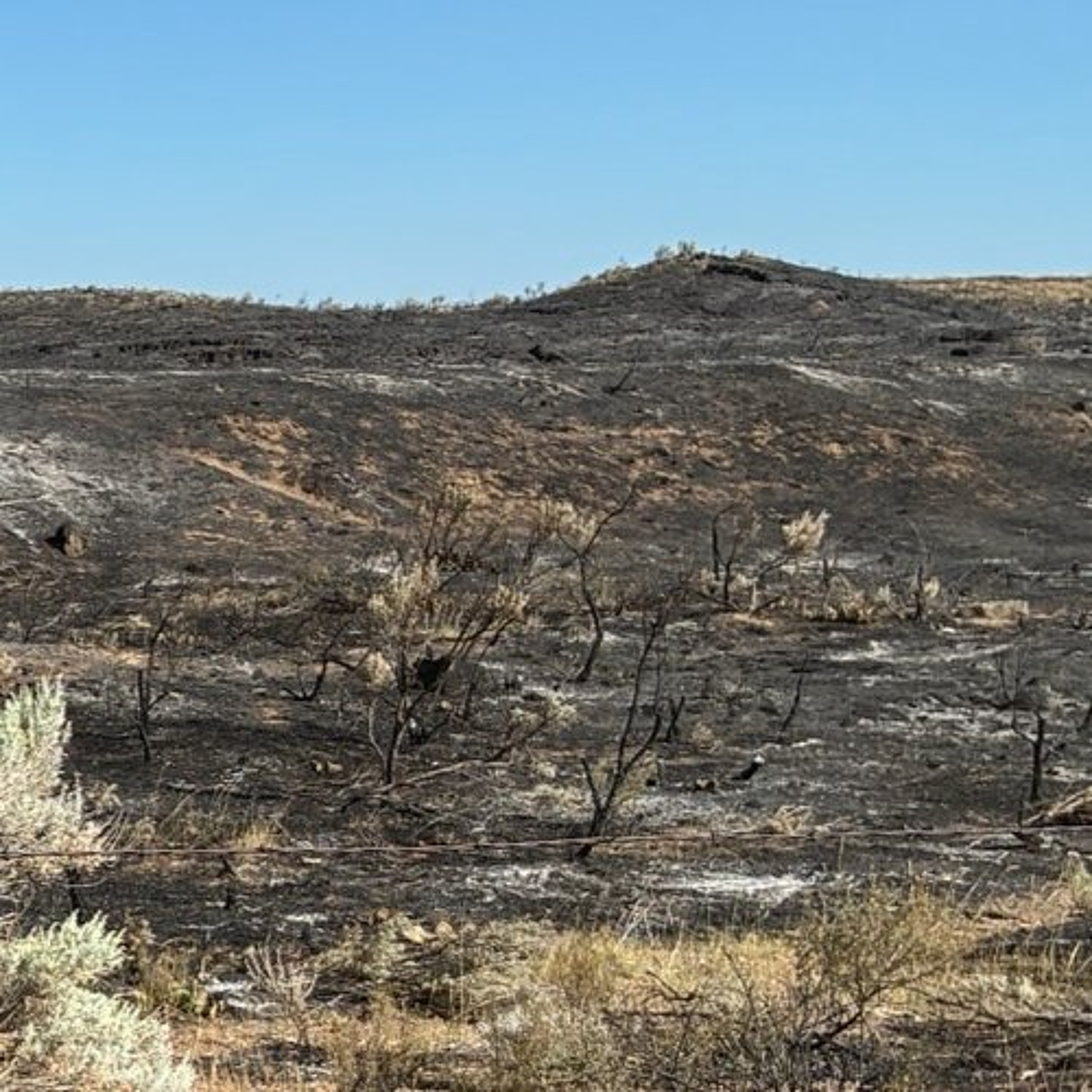 Fire Chiefs talk Maze Wildfire and fire safety
