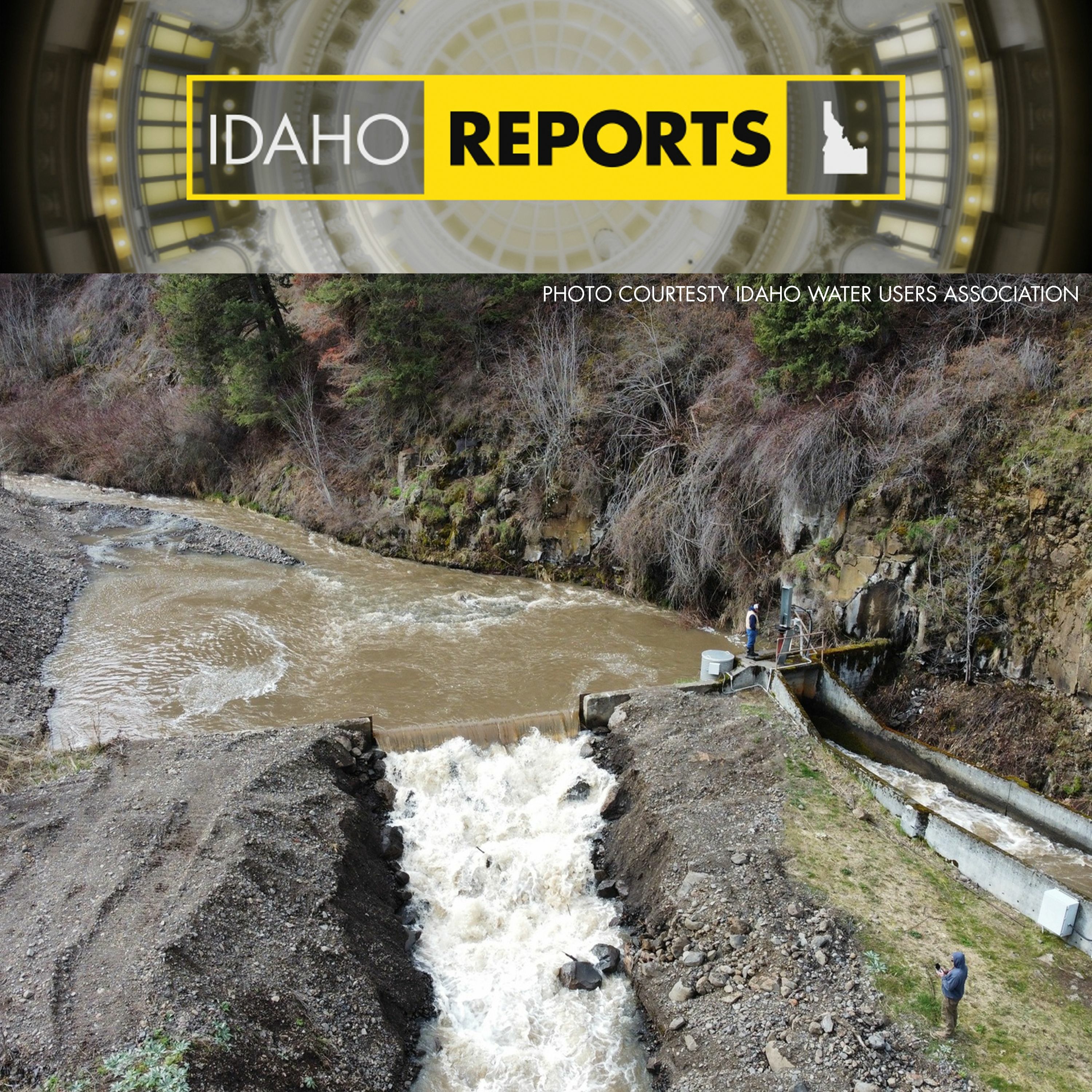 Idaho Reports
