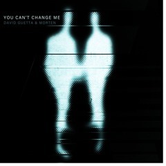 Ton Music - David Guetta - Morten - You Can T Change Me (Ft Raye) - Drum And Bass (Remix)