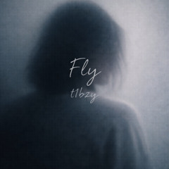 Fly
