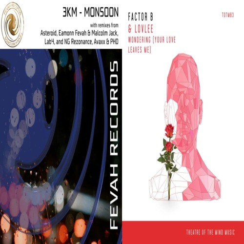 Wondering Monsoon (Bizarre Hazar's Force Of Nature)