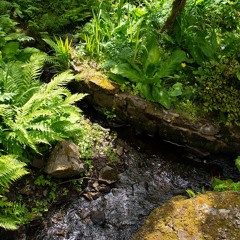 MEGAMOO (moo Feat. Doja Cat)