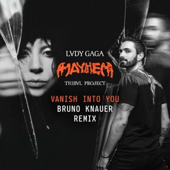 Vanish Into You (Bruno Knauer Mix)