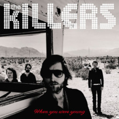 The Killers - When You Were Young (Shawn Magda Remix)