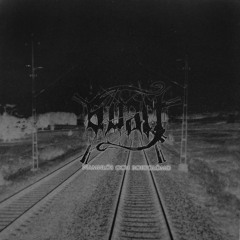 DEPRESSIVE SUICIDAL BLACK METAL