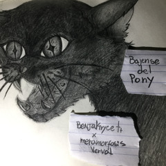 KRYCEEE! - Bajense Del Pony ft. Metamorfosis Verbal