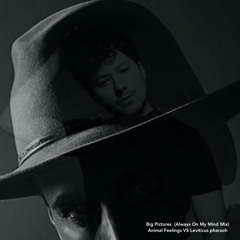Big Pictures (Always On My Mind Mix) ANIMAL FEELINGS + LEVITICUS PHARAOH