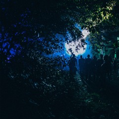 Leviathan b2b Rheeza at Multigroove 2014