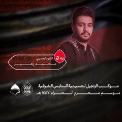 انا الكافل عباس | الرادود محمد زهير | ليلة خامس من محرم 2025م - 1447هـ