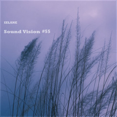 Sound Vision #55