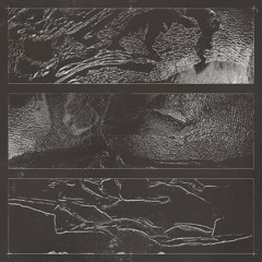 PREMIERE: Kameliia - Delusion of Time [BLUEHOUR032]