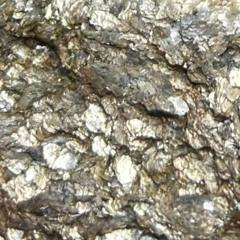 Grief Work Episode 2