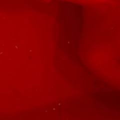 Madison - intime session