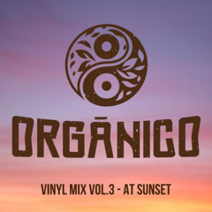 Vinyl Mix Vol.3 - At Sunset 🌅 (Deep/Progressive House)