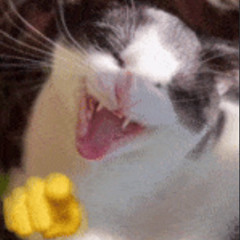 Iron Curtain (Ft. Tee Loaks) [Prod. Xionion]