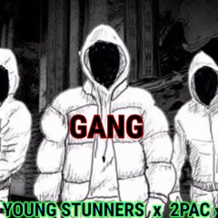 YOUNG STUNNERS _ GANG Ft. 2PAC & KR$NA | ( AUDIO )
