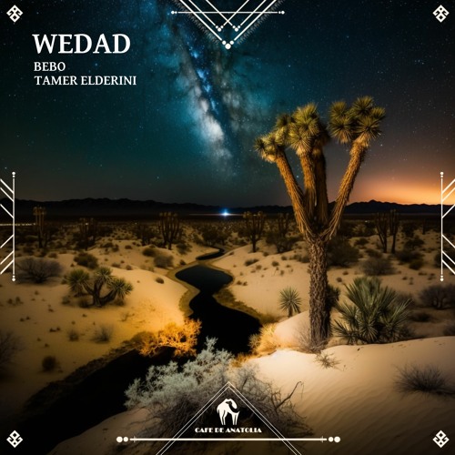 BEBO (EG), Tamer ElDerini - Wedad (Cafe De Anatolia)