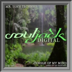 Jungle Of My Mind (Ray's Jackmental Mix)