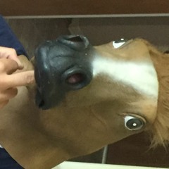 Whale Cartilage Type Beat