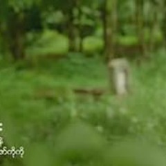 မျိုးကြီး -ညီလေး