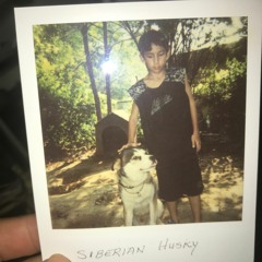 Can I Pet That Dog.WAV