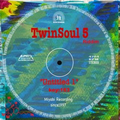 TwinSoul 5/ "Untitled 1 "  Riddim