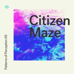 Patterns of Perception 69 - Citizen Maze