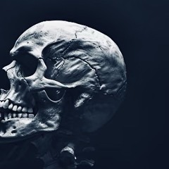 550 SHARK - ESTIMATED