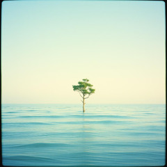 Sail along with the whisper