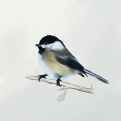 En fågelunge i din hand