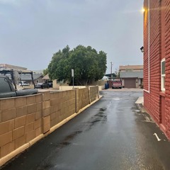 we-call-it-the-jungle.mp3