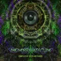 Robotic Brain & Bhargo - Another Me [Membira Apicum V.A]