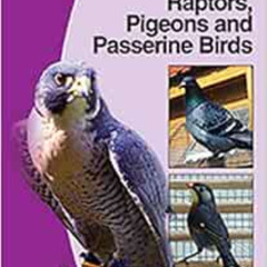 View KINDLE 📔 BSAVA Manual of Raptors, Pigeons and Passerine Birds by John Chitty,Mi