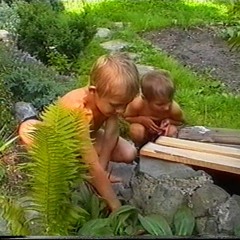 pokoj25 - rybíz a rebarbora