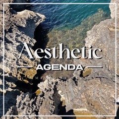Aesthetic Agenda 002 mixed by Bek
