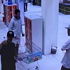 Plug makarllo’s/mp3