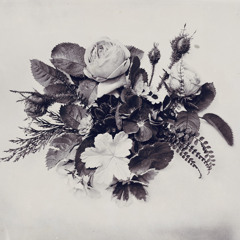 I Just Hope You Can Forgive Yourself (Interlude)